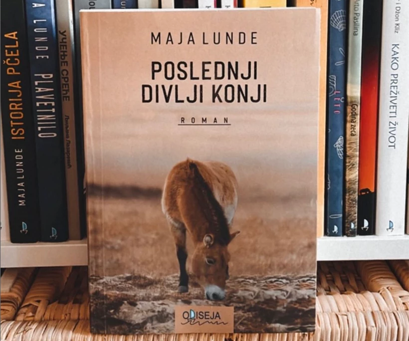 Poslednji divlji konji